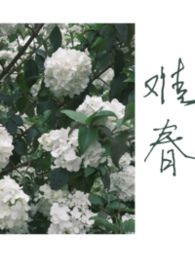 难哄小说