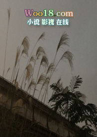 隐秘的角落大结局